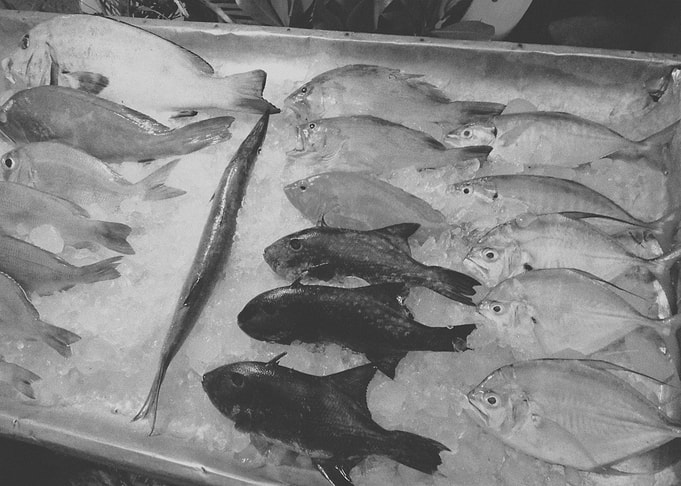 Fishes I