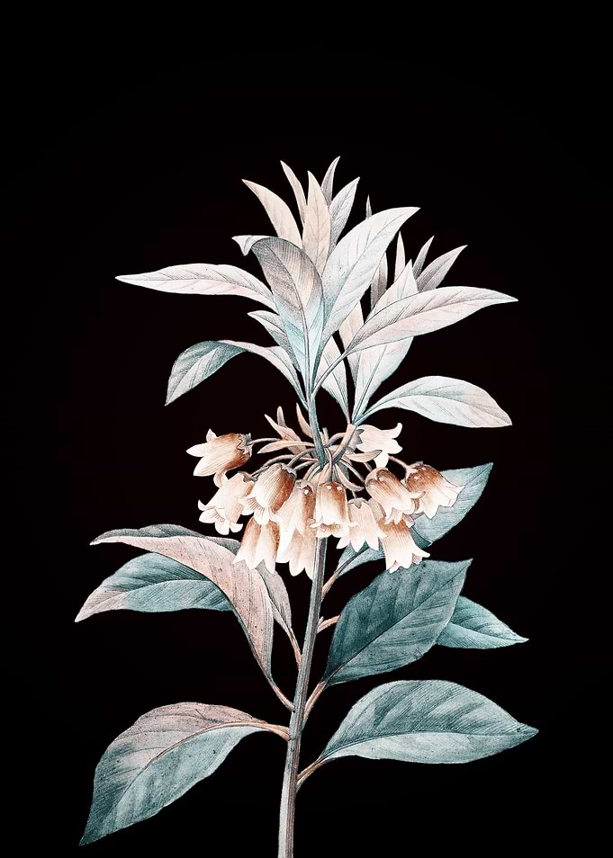 Chinese New Year Flower
