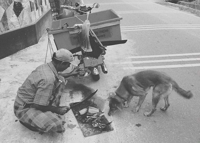 Fish Seller on the Street