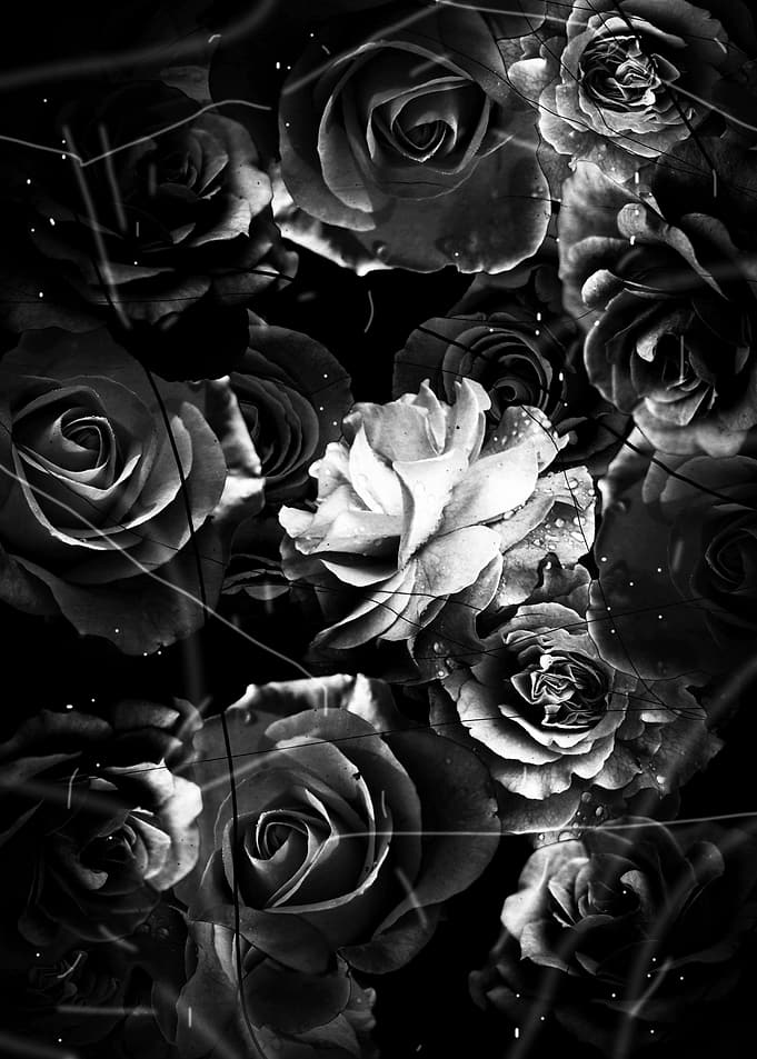 Faded flowers