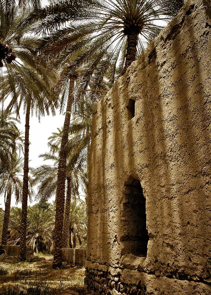 Palms
