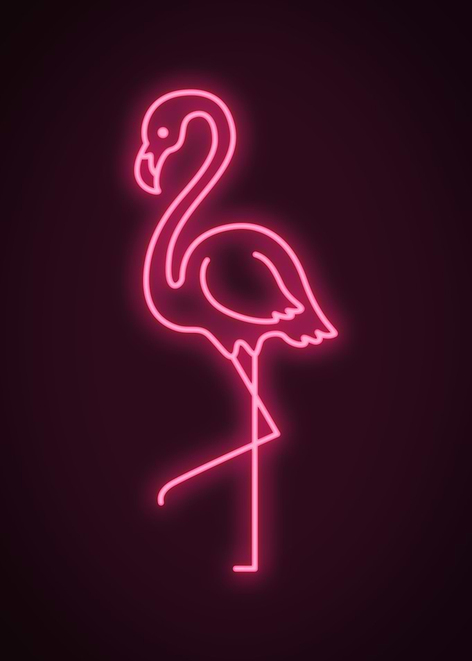 Neon flamingo