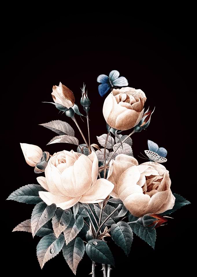 Roses