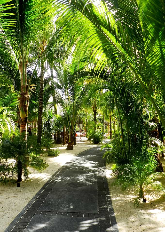 Mauritius Islands