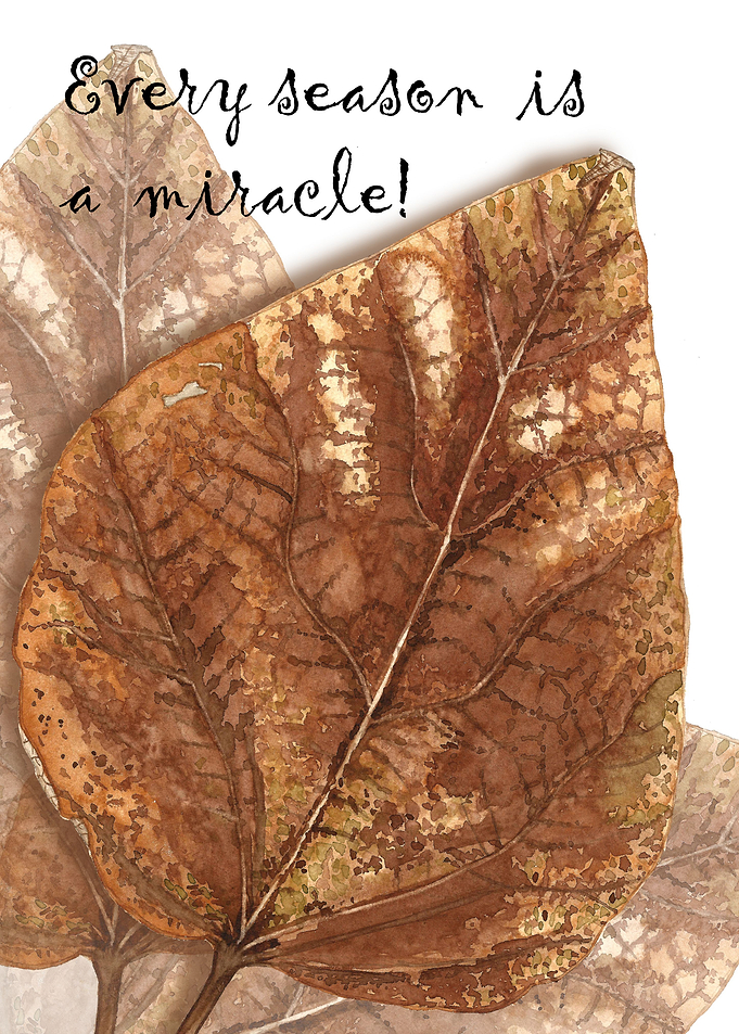 Dry leaf