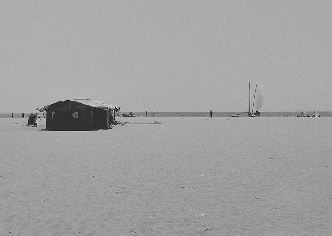 Life on the Beach