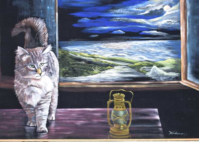 Cat by night