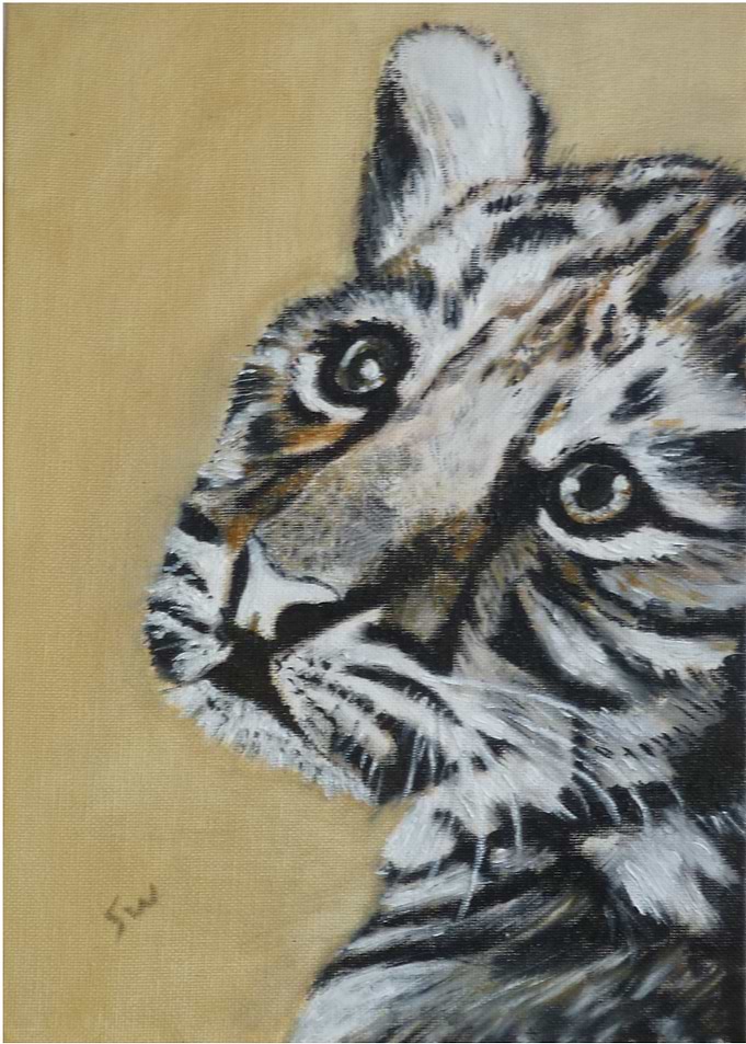 Tiger cub