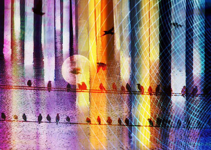 Midnight Shadows