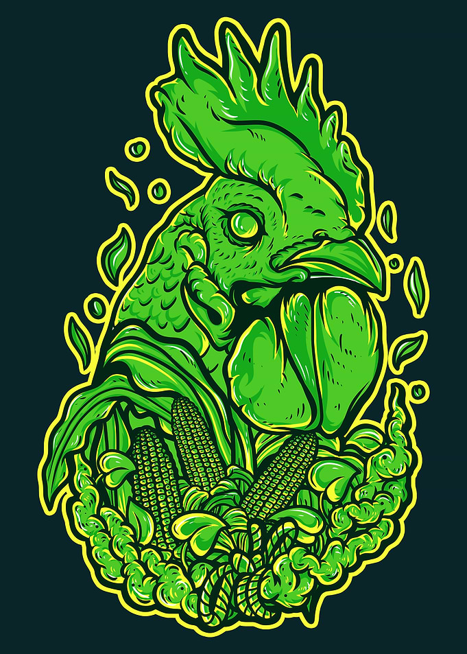 ROOSTER