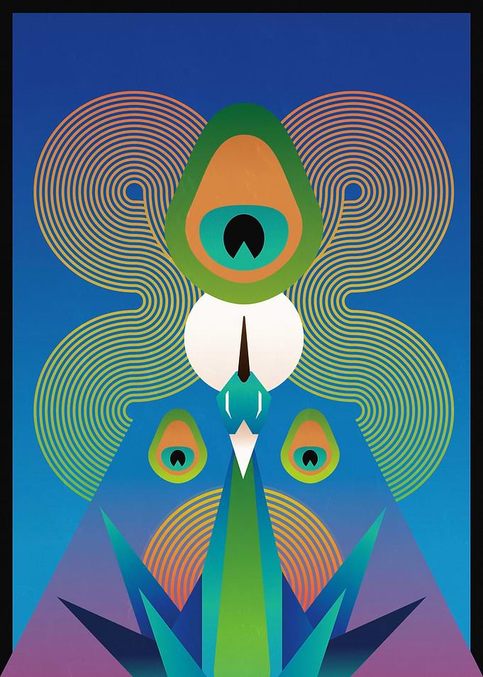 Peacock Geometry