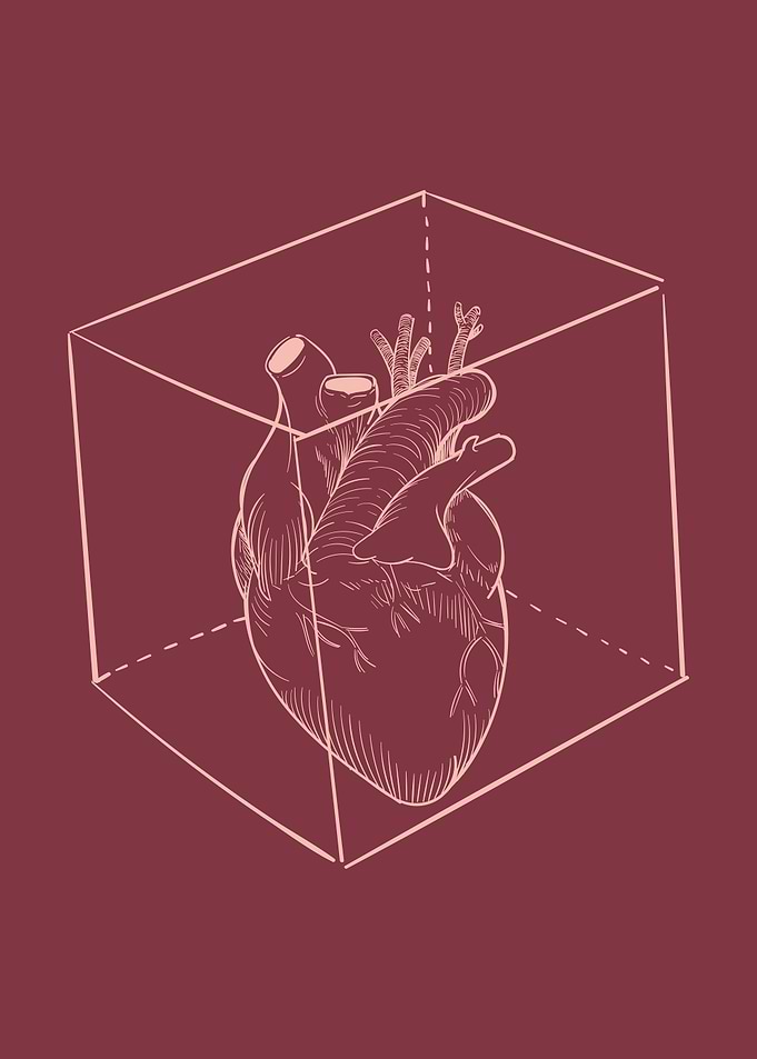 Heart