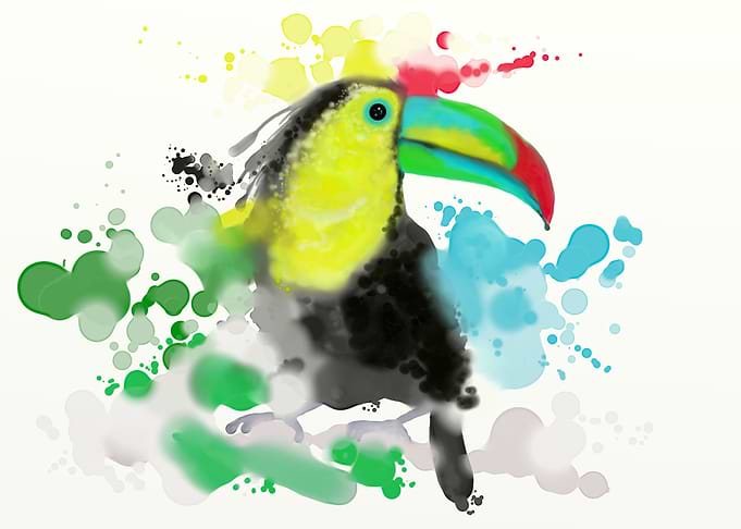 Toucan