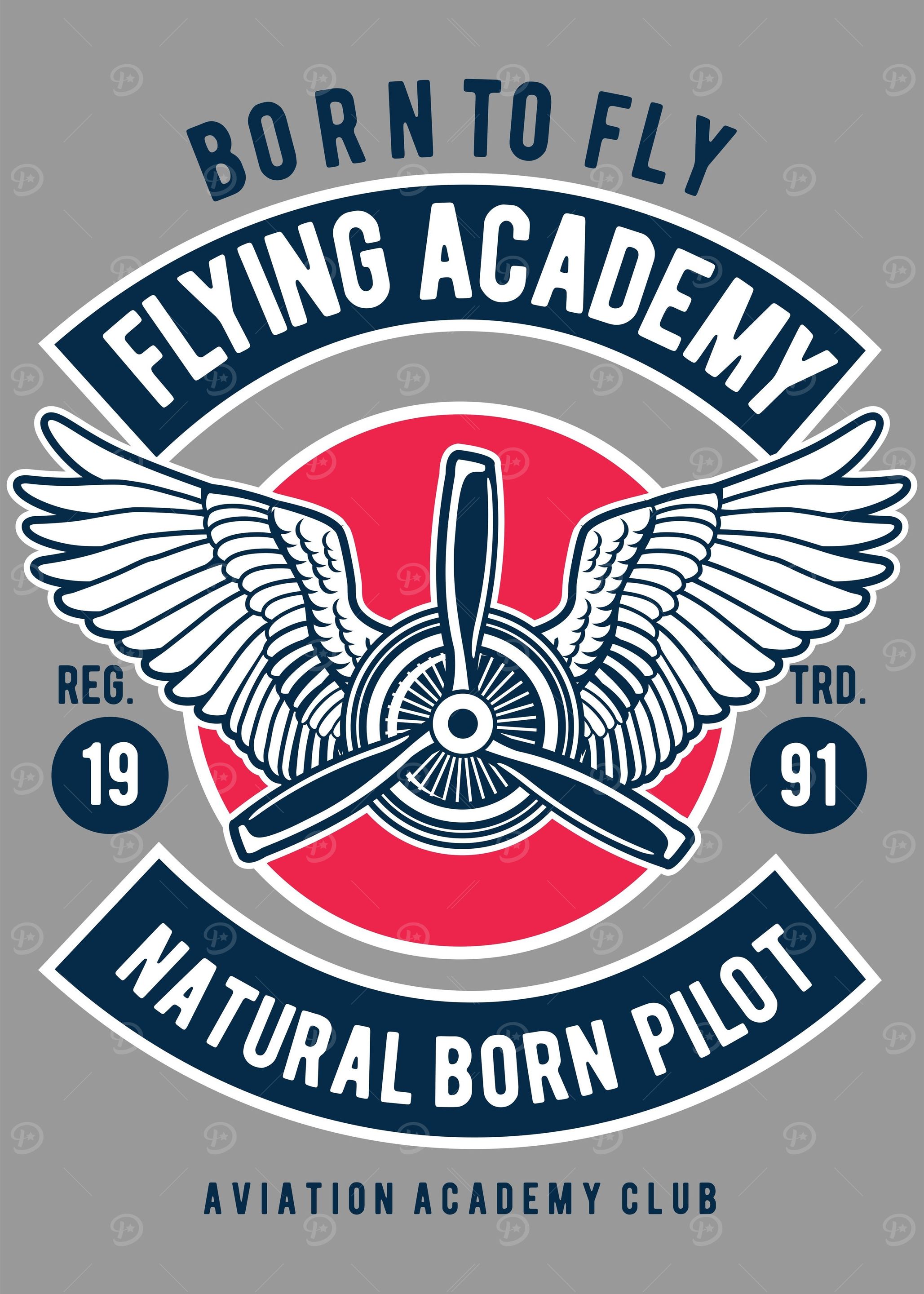 Flying Academy Club