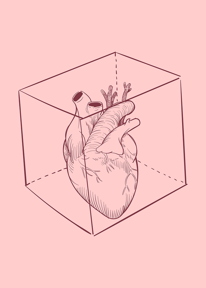 Heart