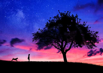 Magic sunset