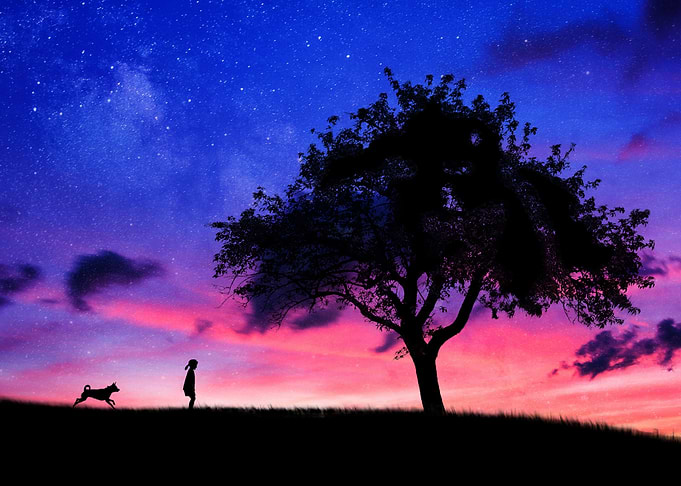 Magic sunset