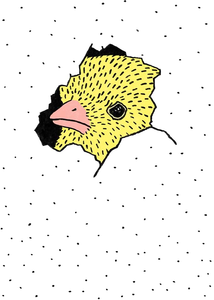 Heeeres Chicky