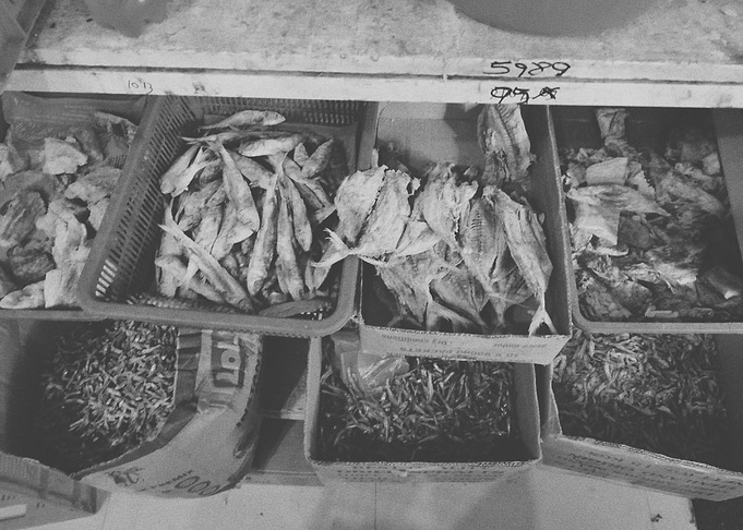 Fishes II