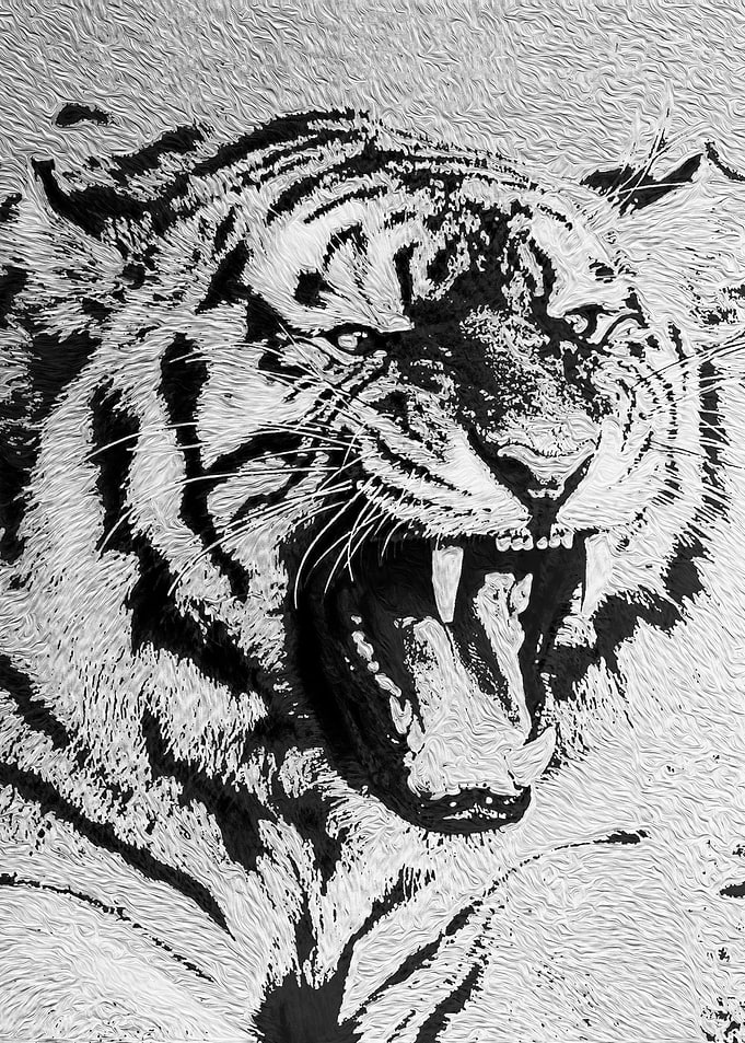 Tiger High Contrast