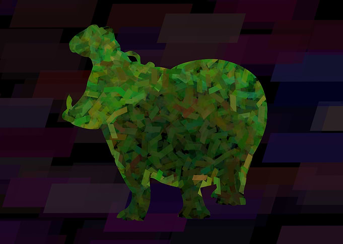 Hippo