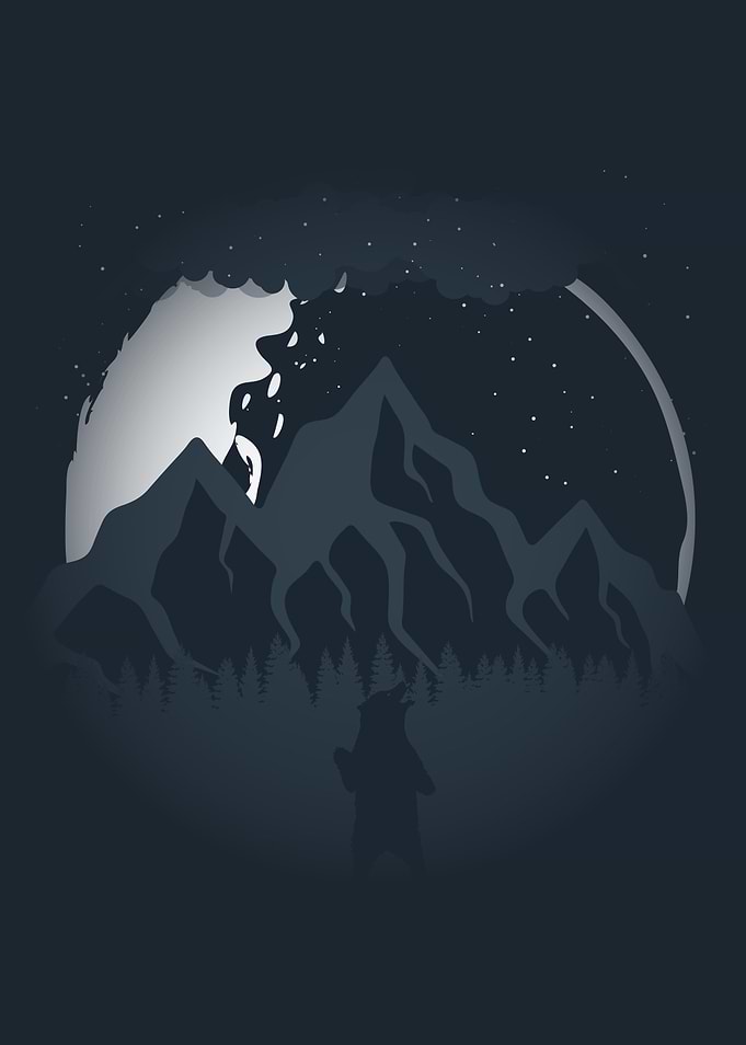 Moonlight Bear