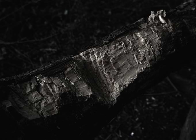 Wood