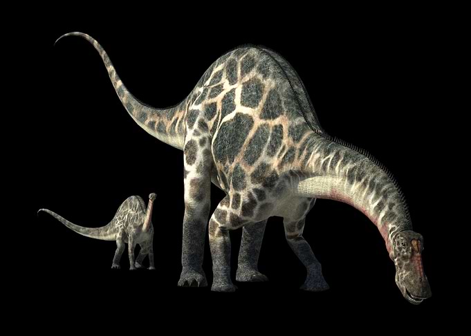 Dicraeosaurus Dinosaurs