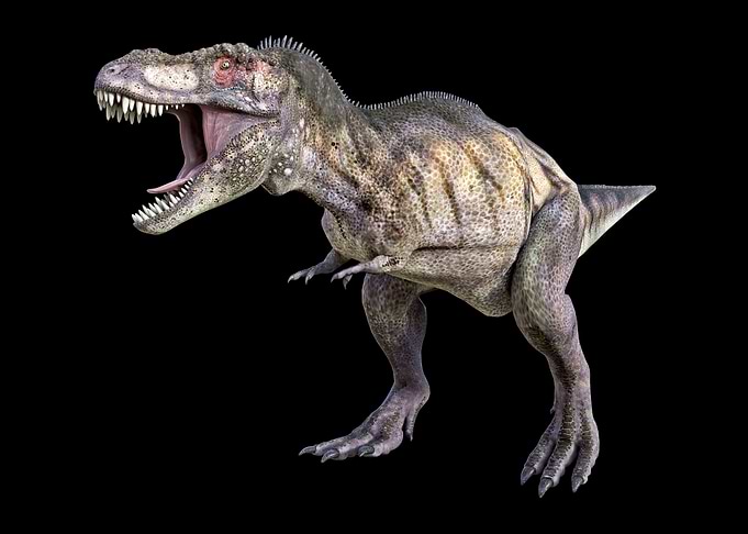 Tyrannosaurus Rex Dinosaur