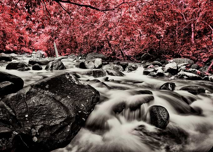 River infrared foliage