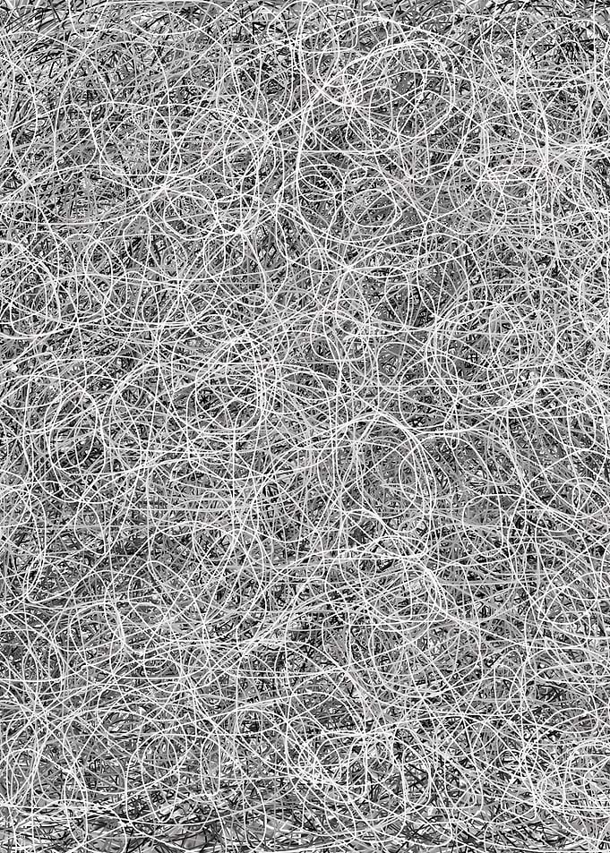 Network 001
