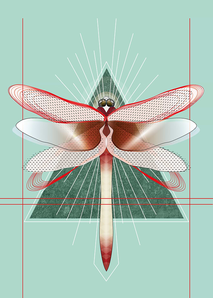 Dragonfly