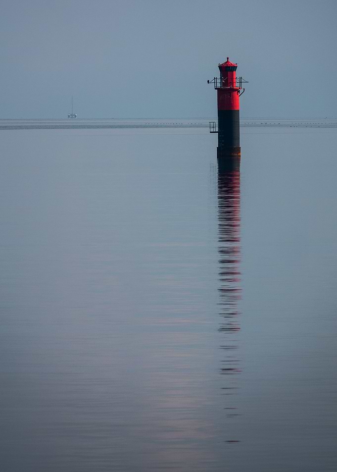 Standing Tall