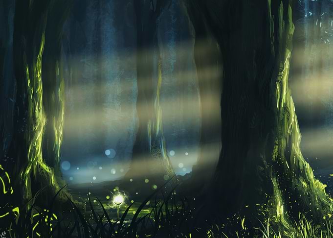 Light upon light