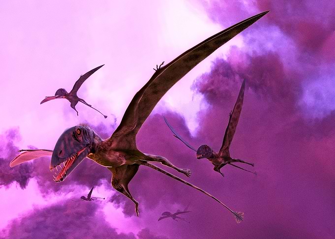 Dimorphodons Flying
