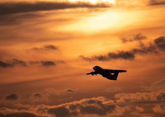 Sunset Flight