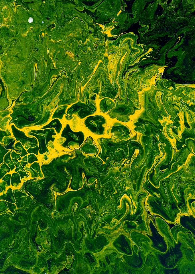 Green jungle Abstraction