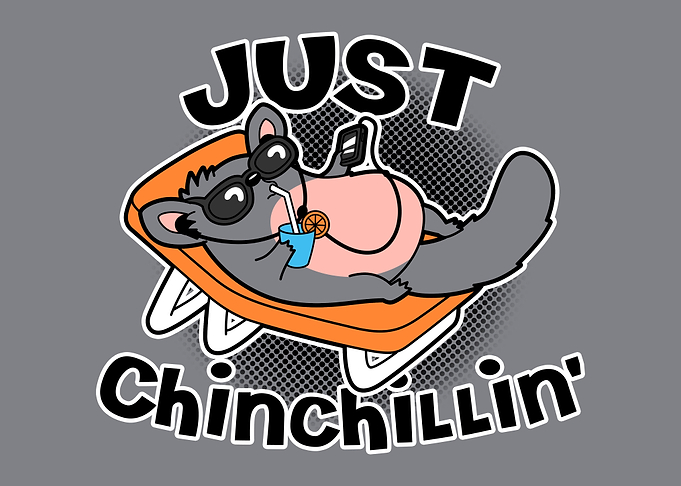 Just Chinchillin