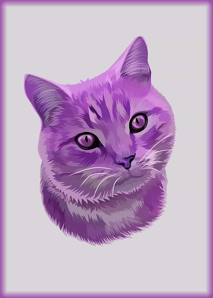 Cute Cat