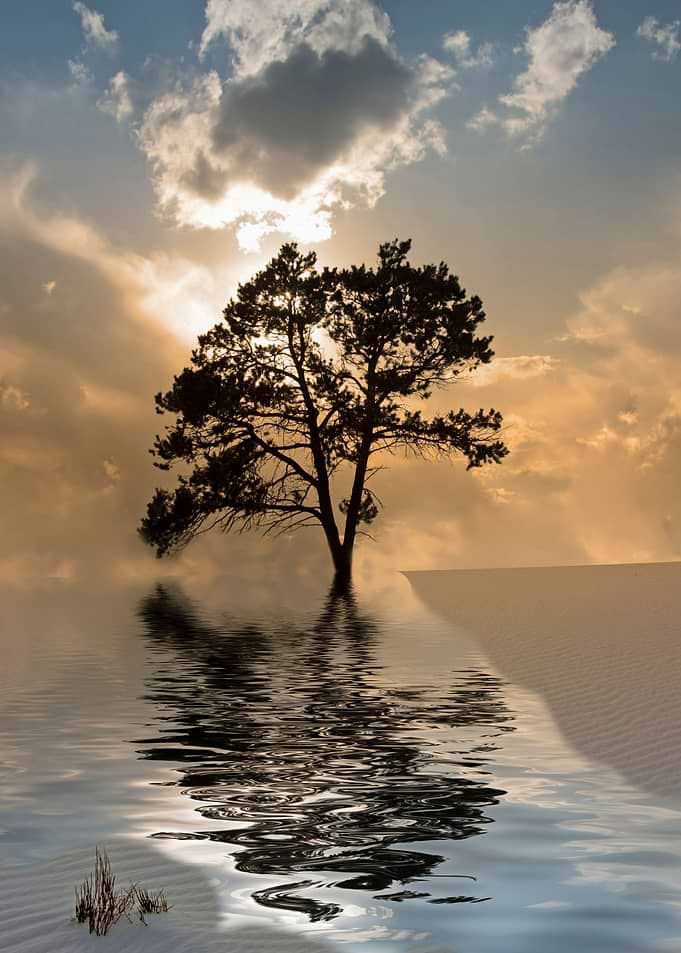 Desert Water