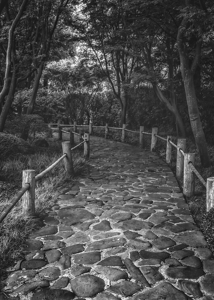 Follow the Road of Stone