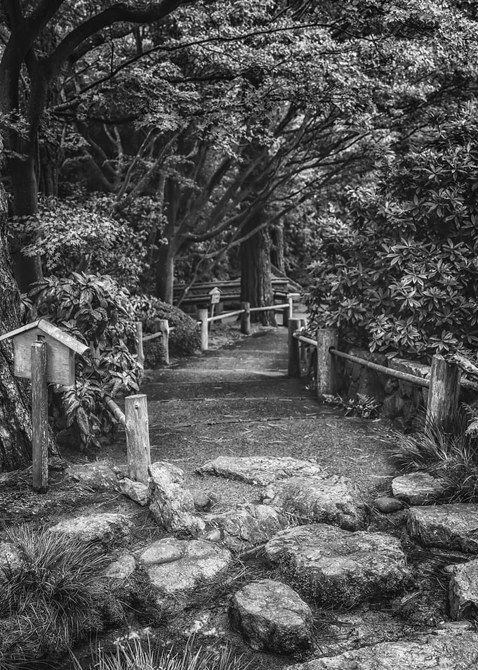Path to Sanity