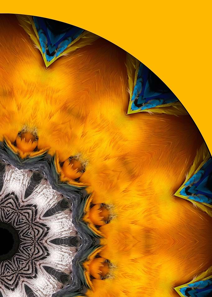 Amazon Mandala II