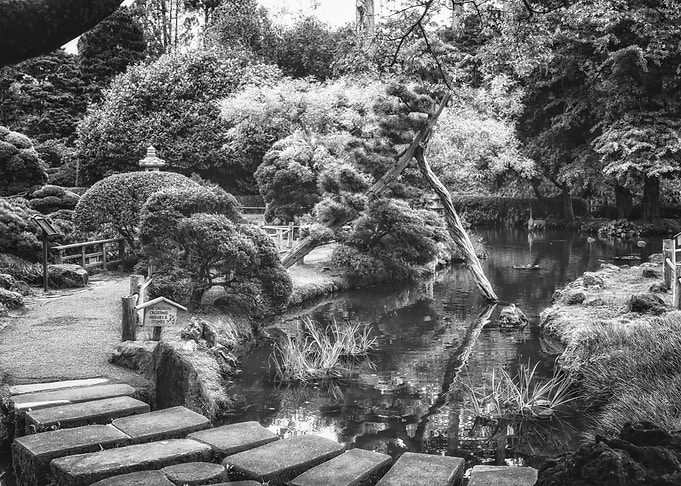Paths of Uncertainty