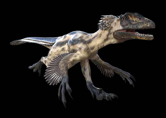 Deinonychus Dinosaur