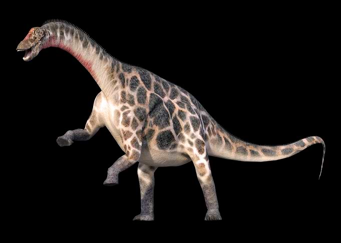 Dicraeosaurus Dinosaur