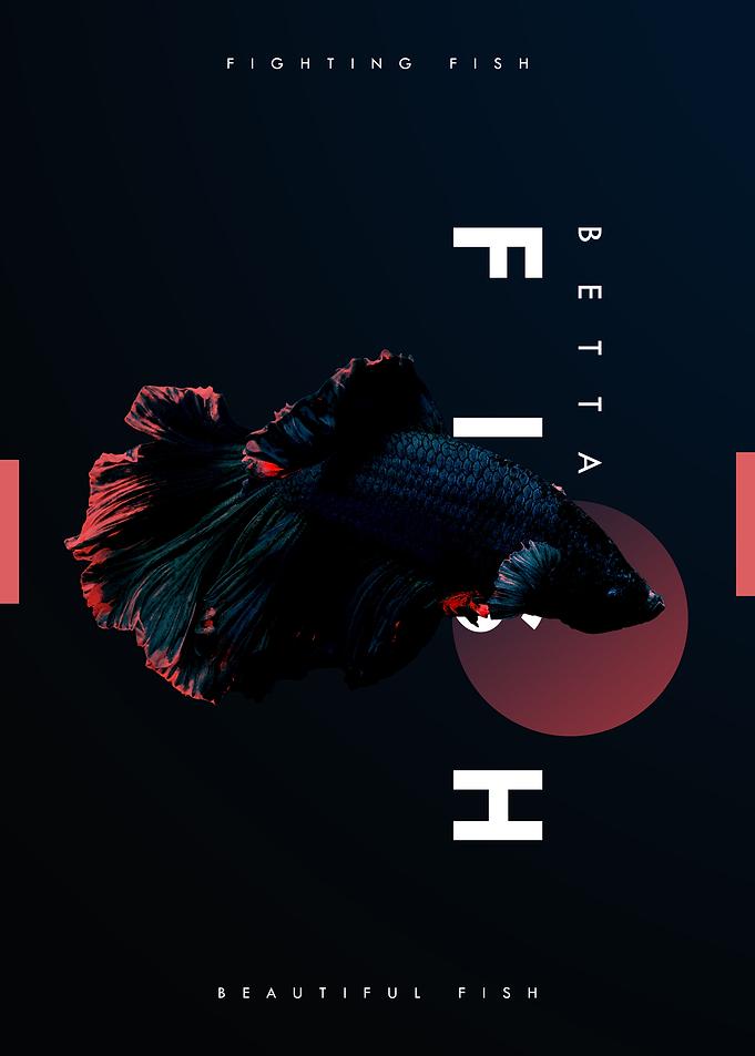 Light of Betta Fish