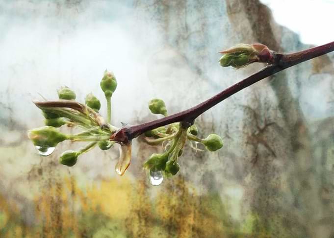 Spring 3