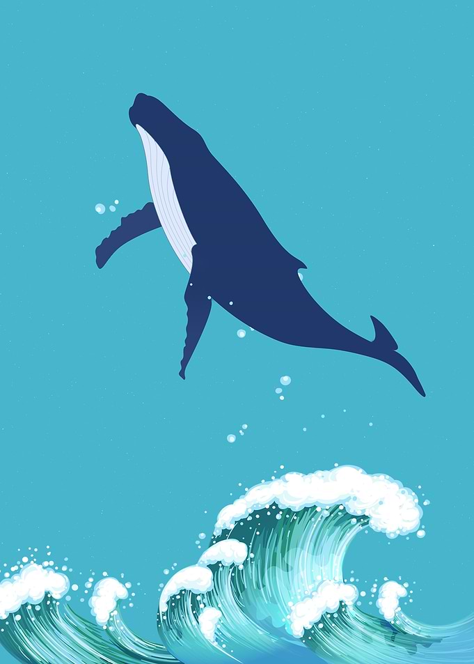 Beautiful Whale