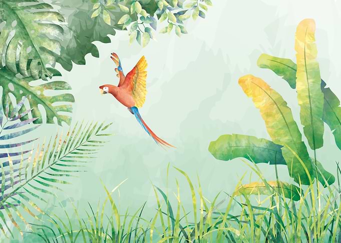 Jungle